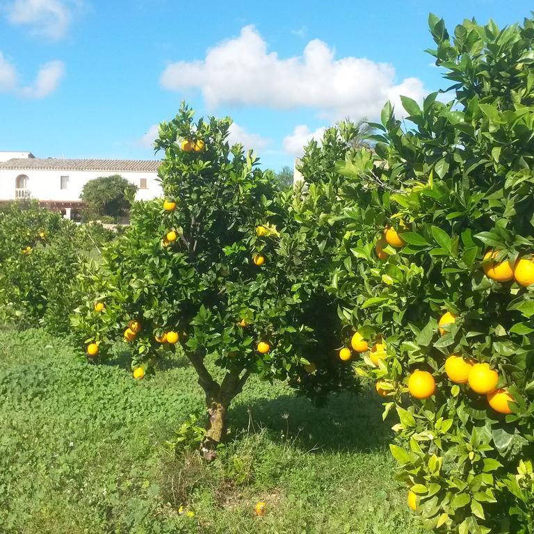 Finca Can Paulino (Adults Only) Llucmajor  Room photo