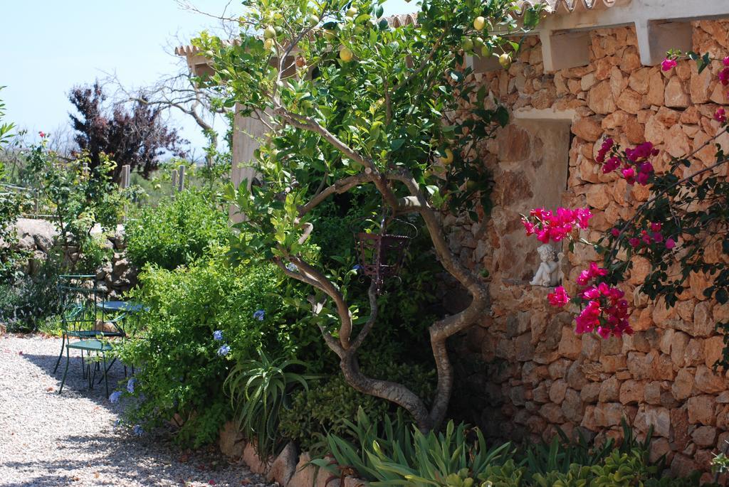 Finca Can Paulino (Adults Only) Llucmajor  Room photo